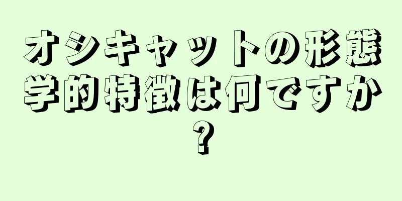 オシキャットの形態学的特徴は何ですか?