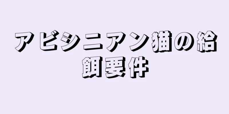 アビシニアン猫の給餌要件