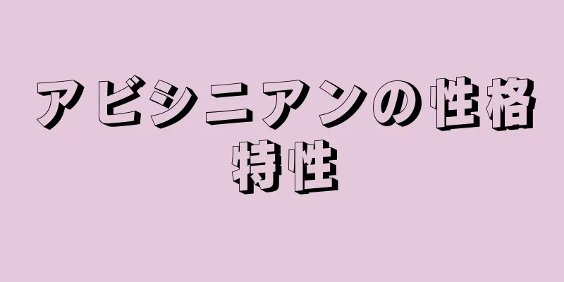 アビシニアンの性格特性