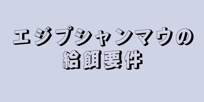 エジプシャンマウの給餌要件