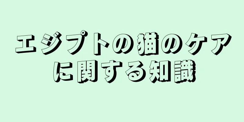 エジプトの猫のケアに関する知識