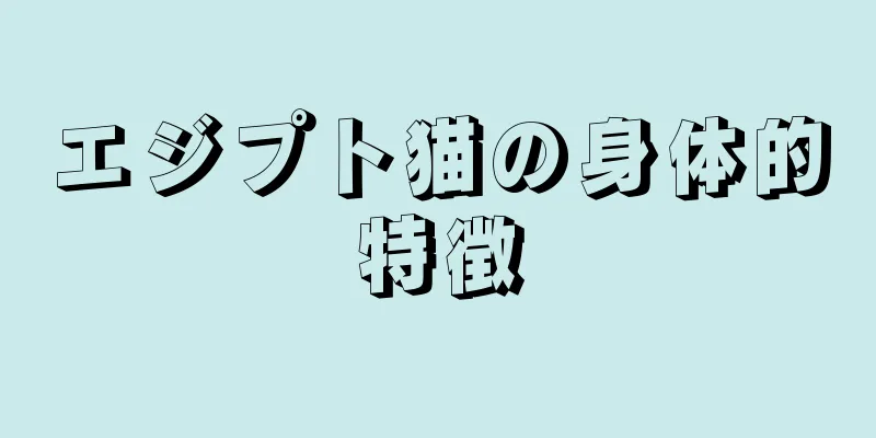 エジプト猫の身体的特徴