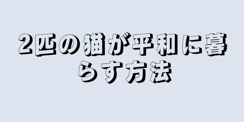 2匹の猫が平和に暮らす方法