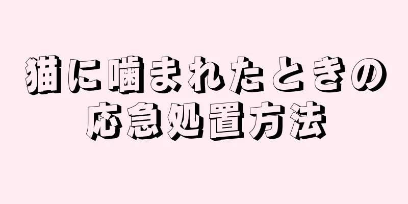 猫に噛まれたときの応急処置方法