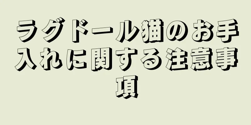 ラグドール猫のお手入れに関する注意事項