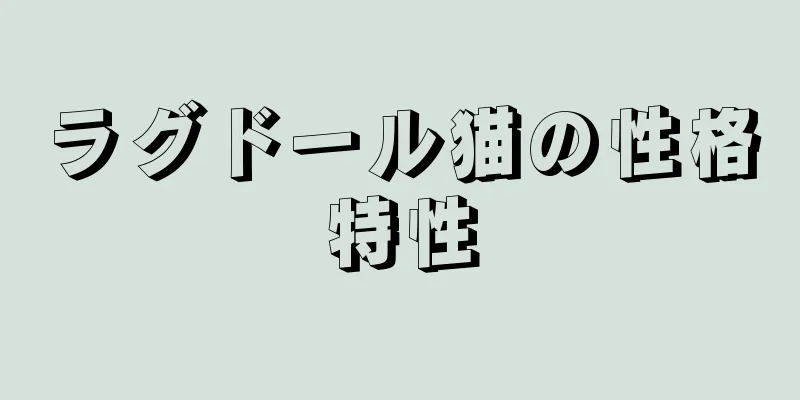 ラグドール猫の性格特性