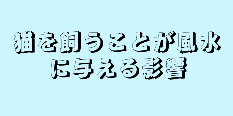 猫を飼うことが風水に与える影響