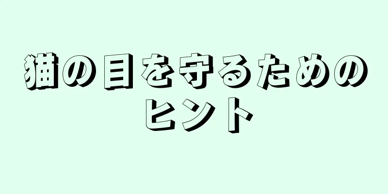 猫の目を守るためのヒント