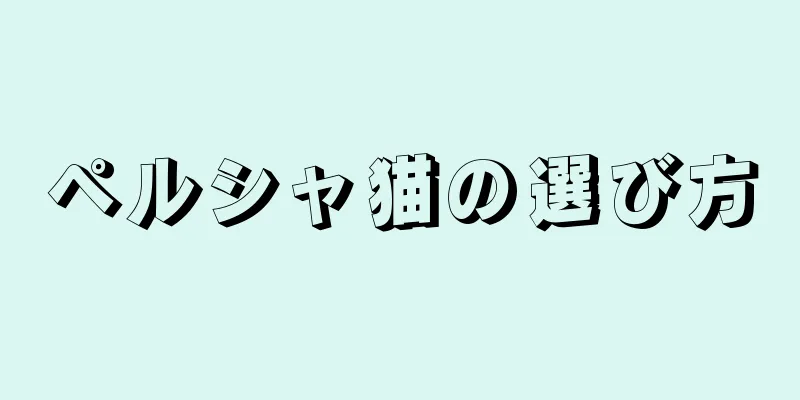 ペルシャ猫の選び方
