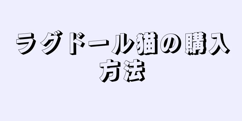 ラグドール猫の購入方法