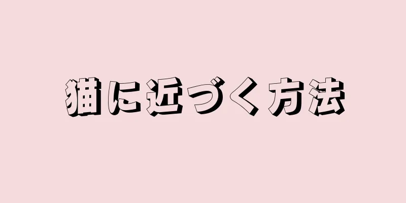 猫に近づく方法