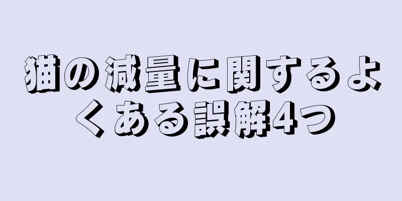 猫の減量に関するよくある誤解4つ