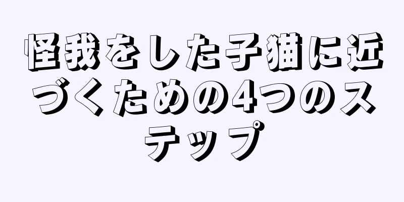 怪我をした子猫に近づくための4つのステップ