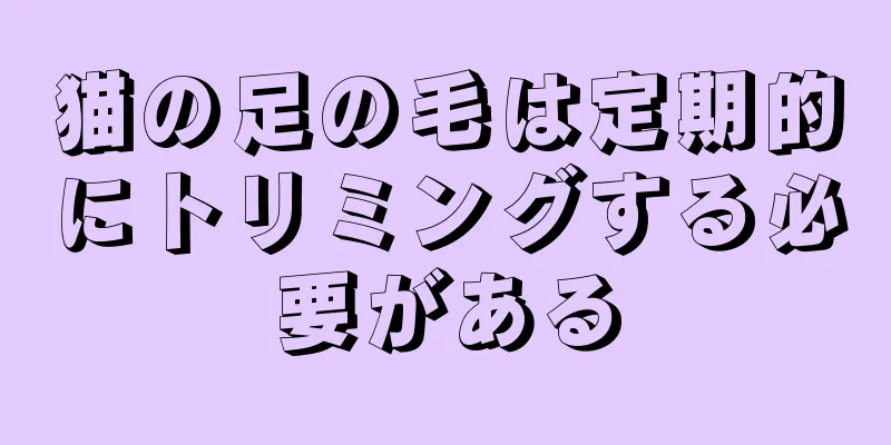 猫の足の毛は定期的にトリミングする必要がある