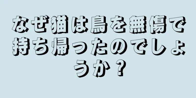 なぜ猫は鳥を無傷で持ち帰ったのでしょうか？