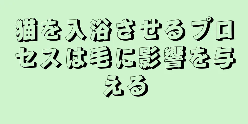 猫を入浴させるプロセスは毛に影響を与える