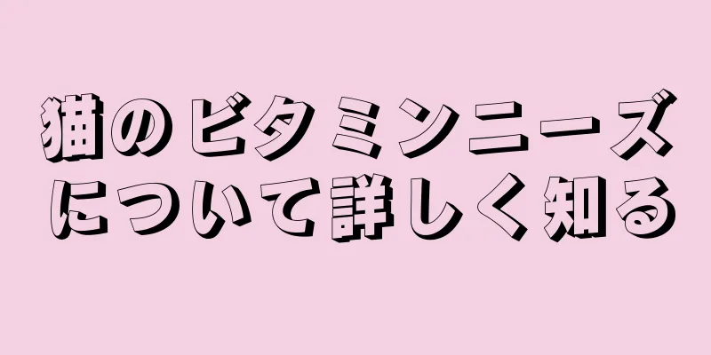 猫のビタミンニーズについて詳しく知る