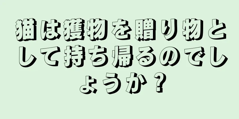 猫は獲物を贈り物として持ち帰るのでしょうか？