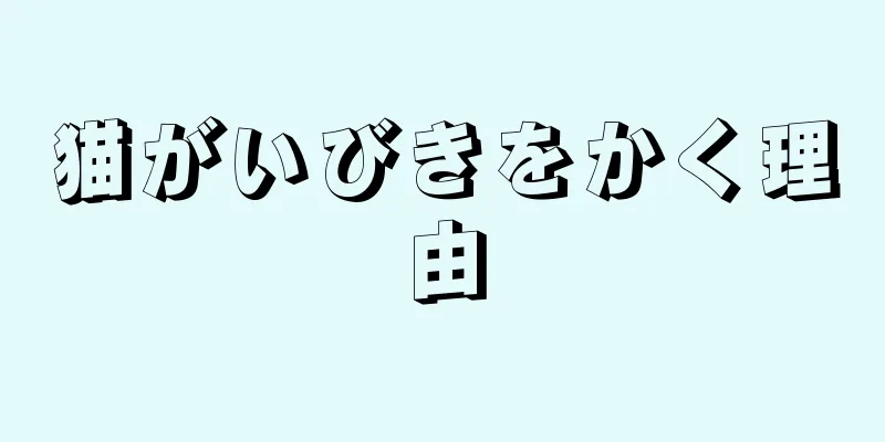 猫がいびきをかく理由