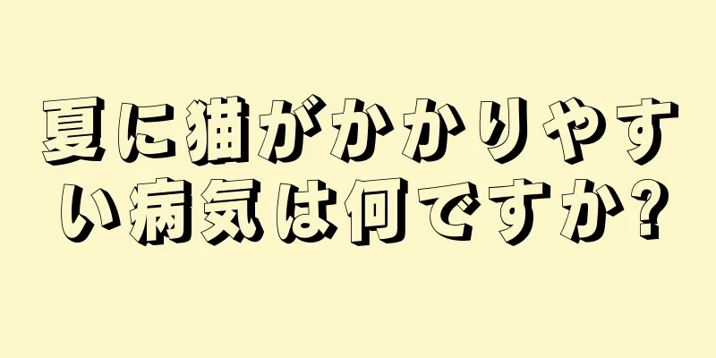 夏に猫がかかりやすい病気は何ですか?