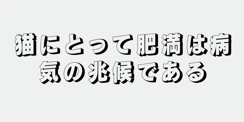 猫にとって肥満は病気の兆候である