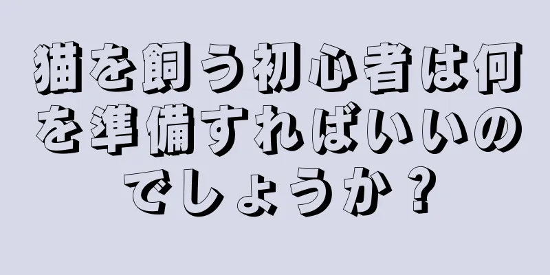 猫を飼う初心者は何を準備すればいいのでしょうか？