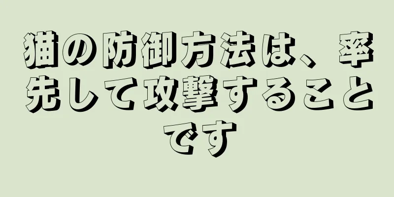 猫の防御方法は、率先して攻撃することです