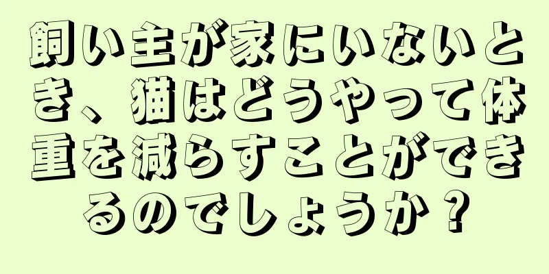 飼い主が家にいないとき、猫はどうやって体重を減らすことができるのでしょうか？