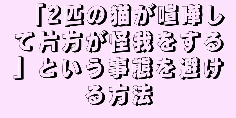 「2匹の猫が喧嘩して片方が怪我をする」という事態を避ける方法