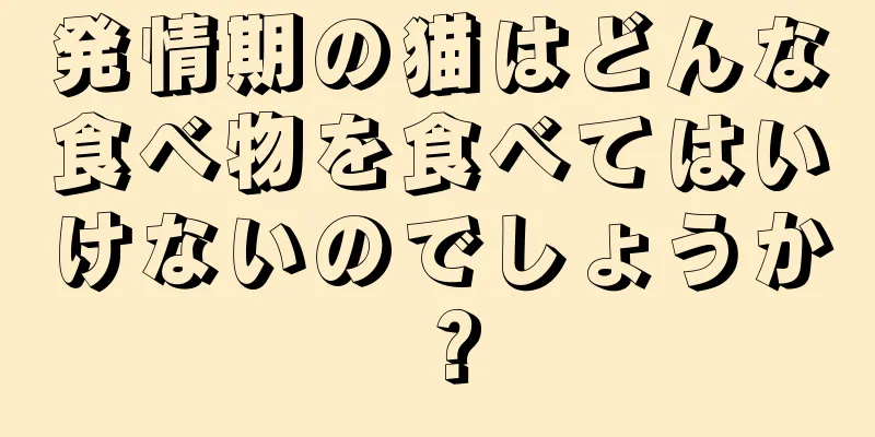 発情期の猫はどんな食べ物を食べてはいけないのでしょうか？