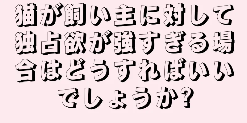 猫が飼い主に対して独占欲が強すぎる場合はどうすればいいでしょうか?