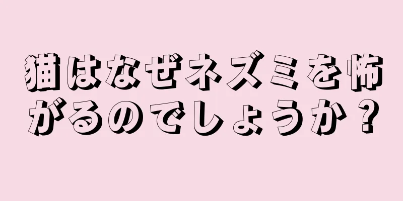 猫はなぜネズミを怖がるのでしょうか？