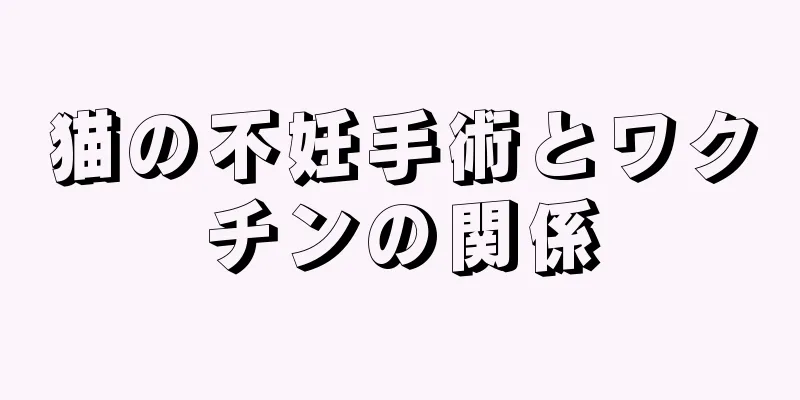 猫の不妊手術とワクチンの関係