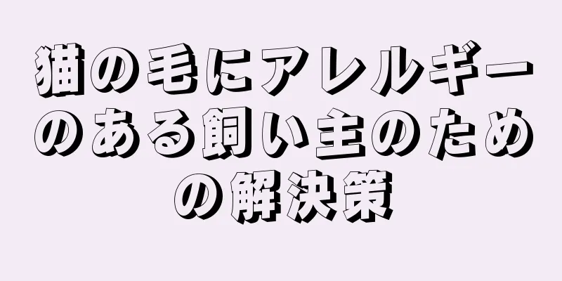 猫の毛にアレルギーのある飼い主のための解決策