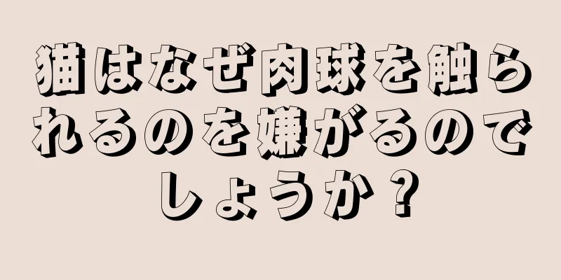猫はなぜ肉球を触られるのを嫌がるのでしょうか？