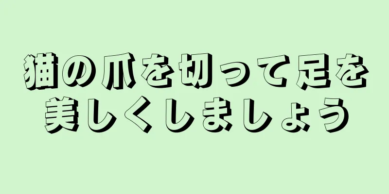 猫の爪を切って足を美しくしましょう