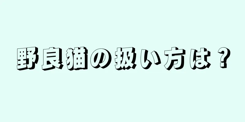 野良猫の扱い方は？
