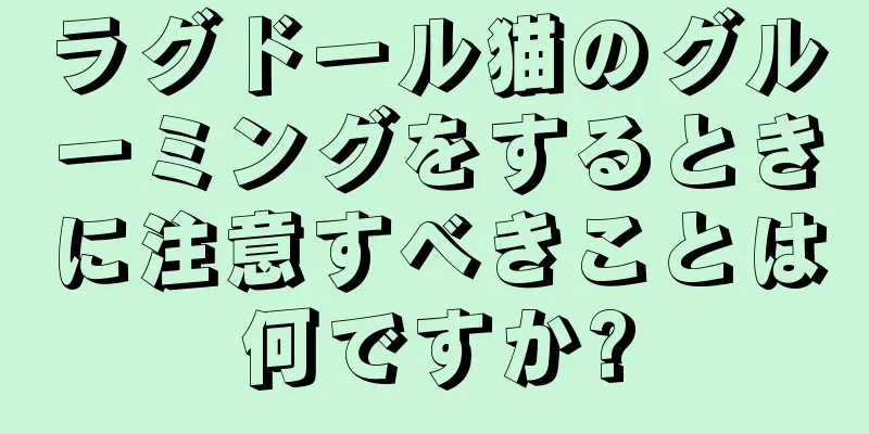 ラグドール猫のグルーミングをするときに注意すべきことは何ですか?
