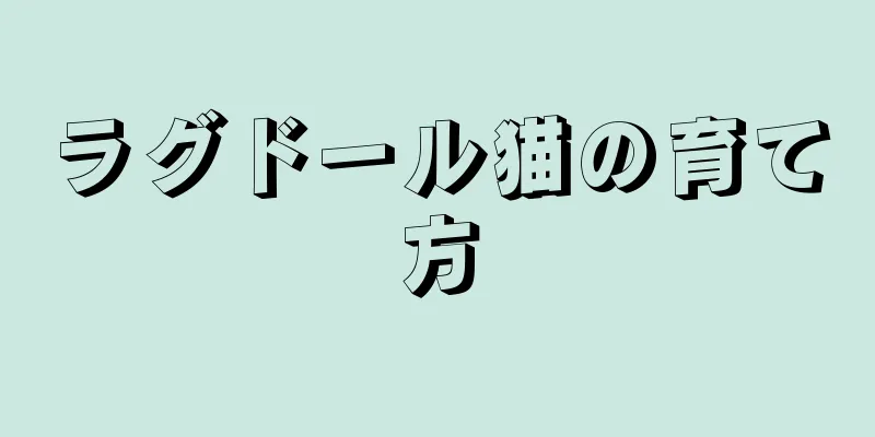 ラグドール猫の育て方