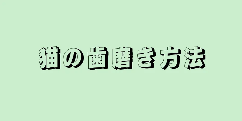 猫の歯磨き方法