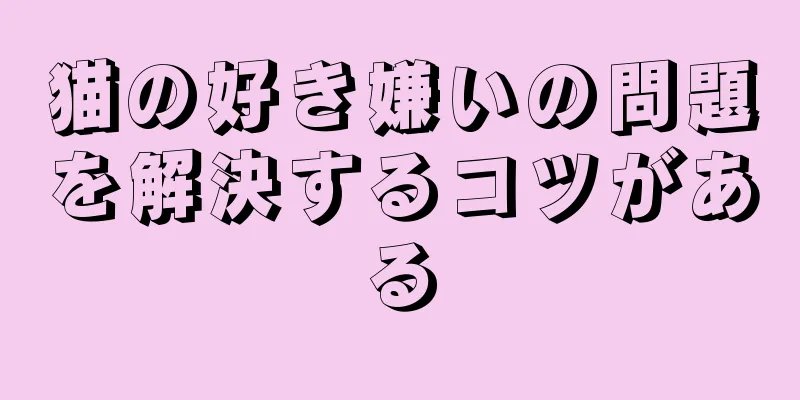 猫の好き嫌いの問題を解決するコツがある