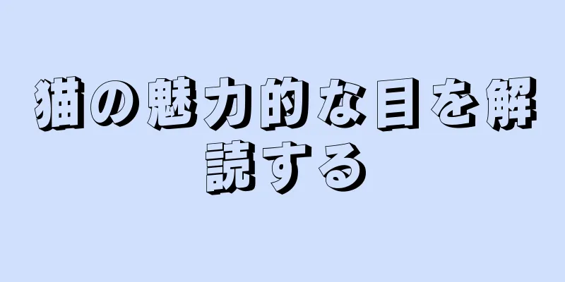 猫の魅力的な目を解読する