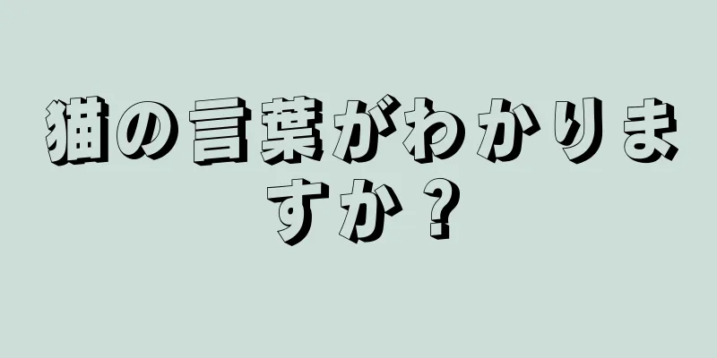 猫の言葉がわかりますか？