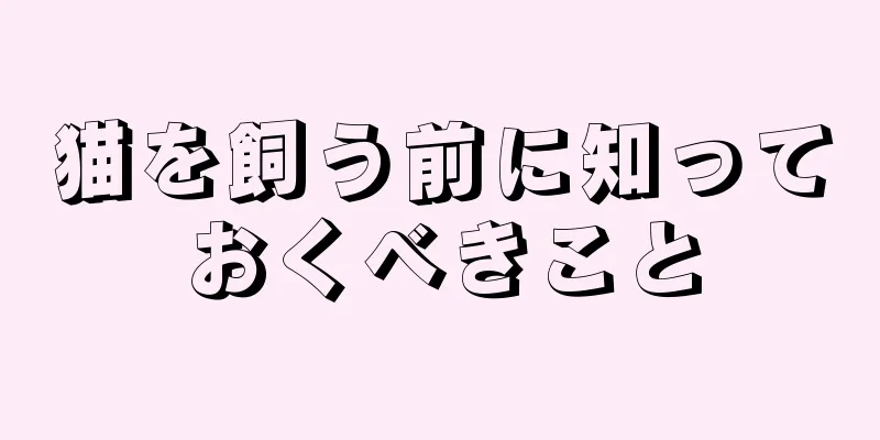 猫を飼う前に知っておくべきこと