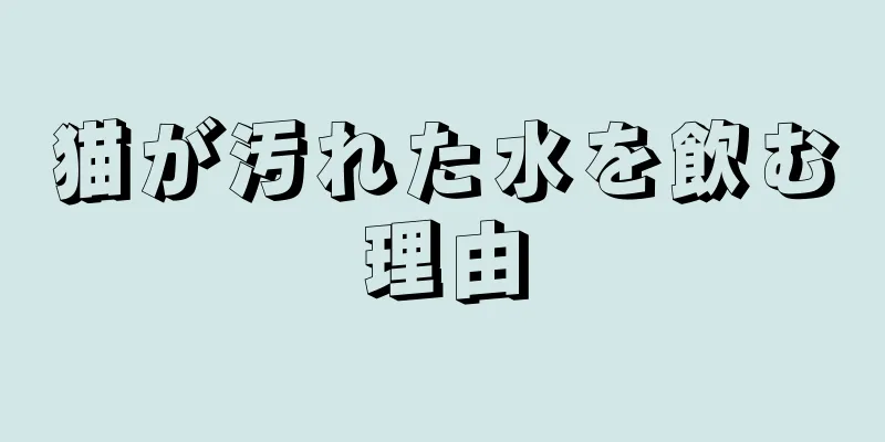 猫が汚れた水を飲む理由