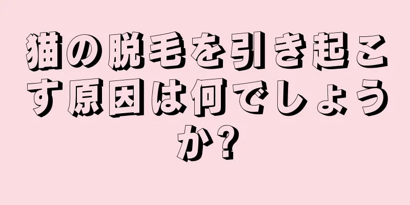 猫の脱毛を引き起こす原因は何でしょうか?
