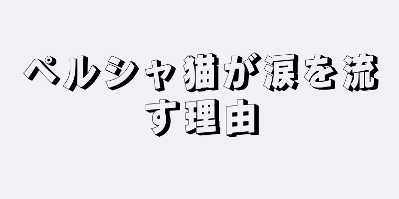 ペルシャ猫が涙を流す理由