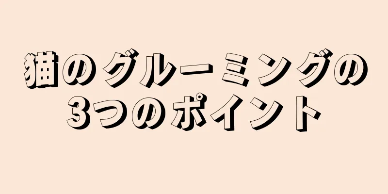 猫のグルーミングの3つのポイント