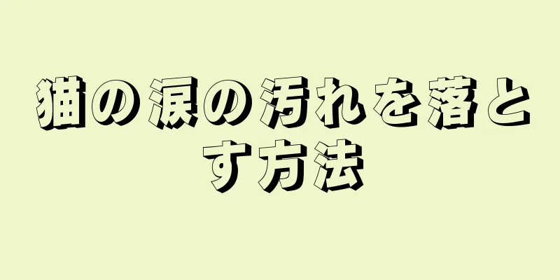 猫の涙の汚れを落とす方法