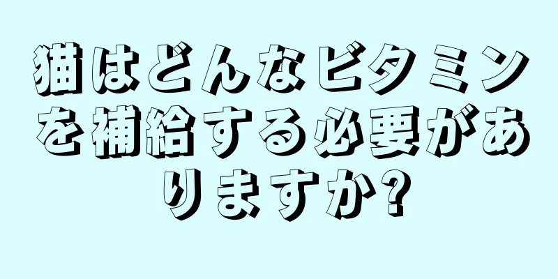 猫はどんなビタミンを補給する必要がありますか?